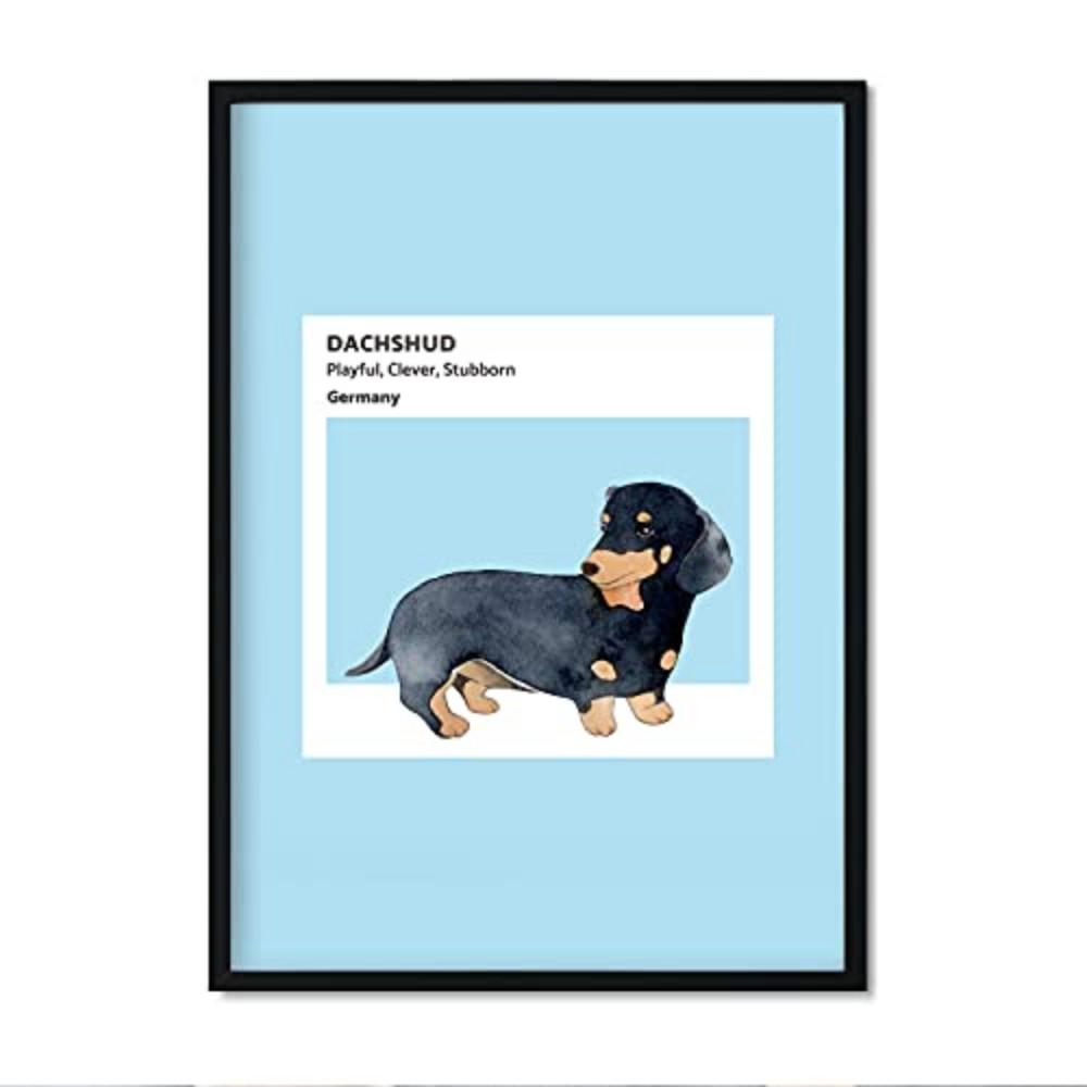 POSTER Hunde Illustrationen – Dackel A3 Rahmenlos - Klar, Papier (29.7/5/42cm) - Nacnic