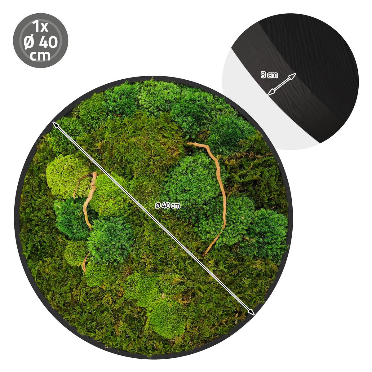 MOOSBILD Rund Ø 40 cm Mooswand Indoor mit echtem Kugelmoos-Flachmoos-Mix und Ästen Holzrahmen Grün - Dunkelgrün, Naturmaterialien (40/40/3cm) - ECD-Germany