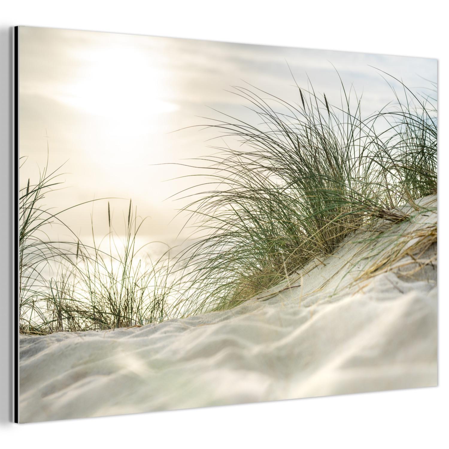 METALLBILD Dünen mit Strandhafer in der Sonne des Nationalparks Schleswig-Holsteinisches Wattenmeer Wanddeko 90x60 cm - Creme, Metall (90/60cm) - MuchoWow