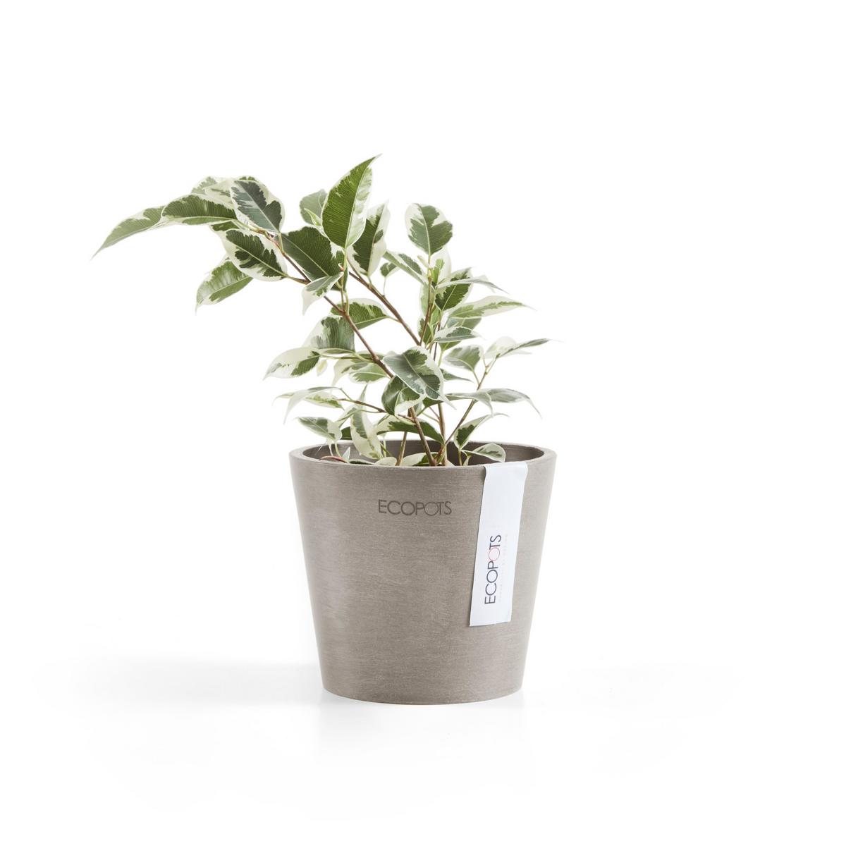 BLUMENTOPF Amsterdam 10,5/9,2 cm Taupe - Taupe, Kunststoff (10.5/9.2cm) - Ecopots