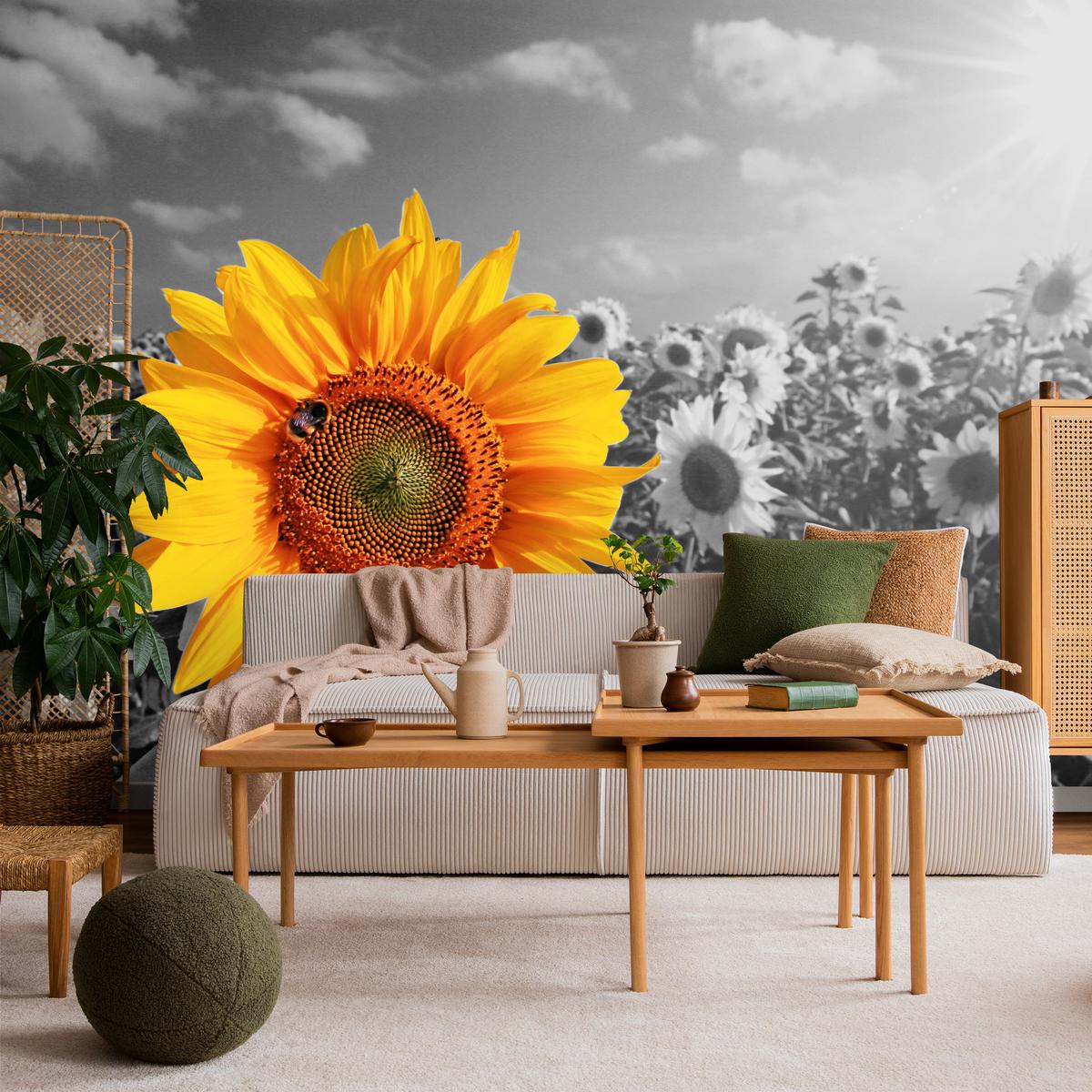FOTOTAPETE für Küche Gelber Sonnenblume Schwarz-Weiß Hintergrund 450x315 - Gelb/Orange, Papier (450/315cm) - Muralo
