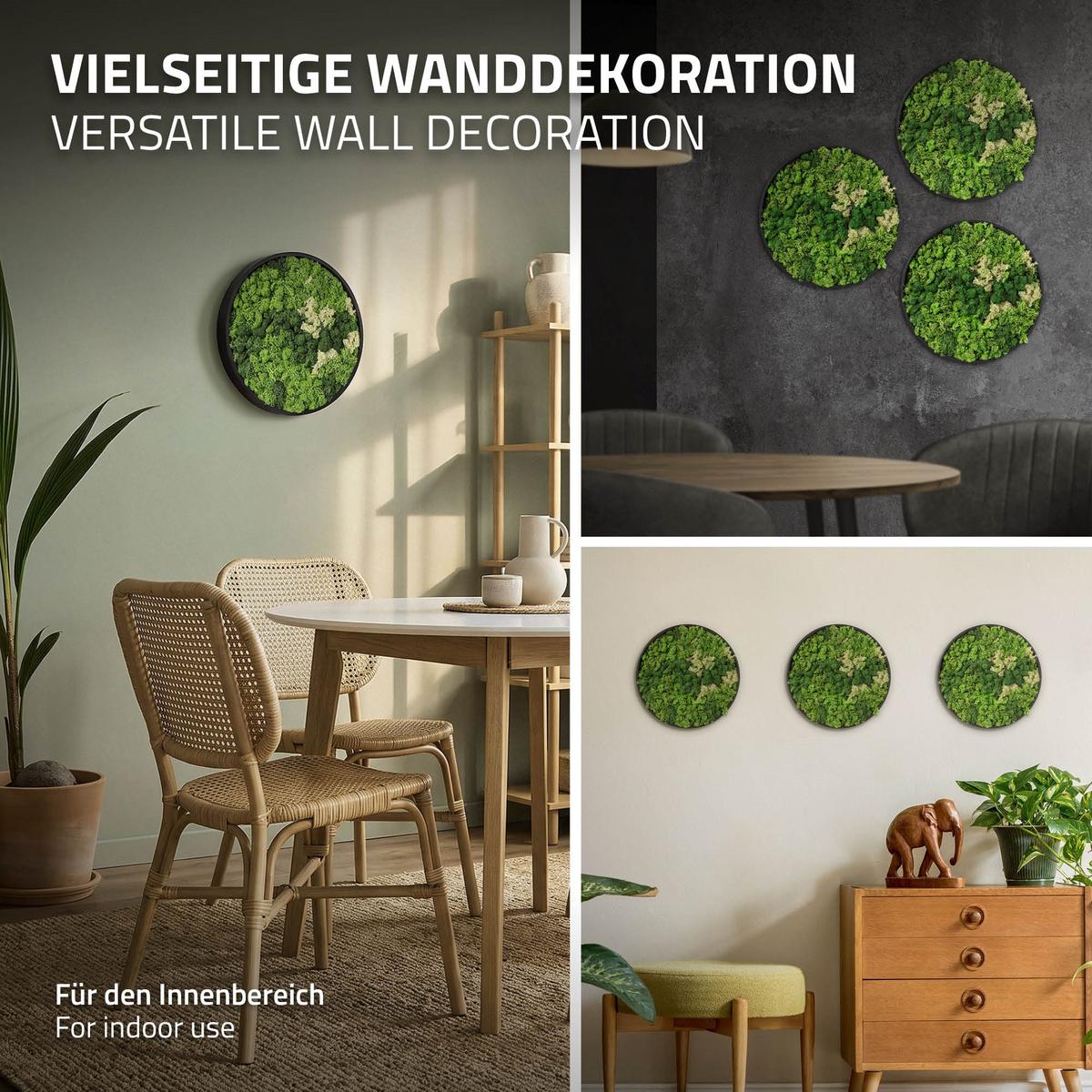 MOOSBILD Rund Ø 30 cm Mooswand Indoor mit Echtem Islandmoos und Holzrahmen Grün Pflegefrei - Salbeigrün, Naturmaterialien (30/30/3cm) - ECD-Germany