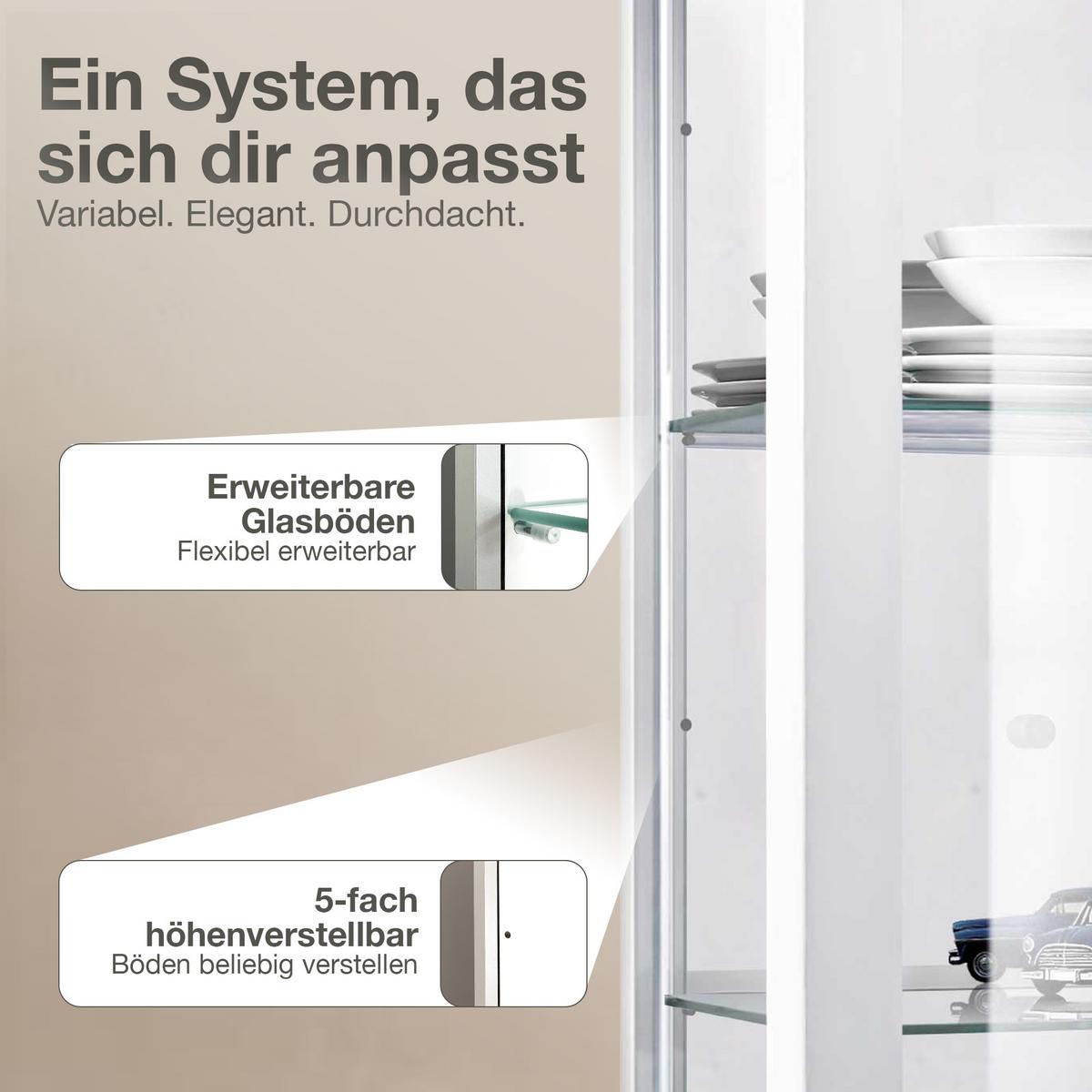 HÄNGEVITRINE 25/60/80 cm mit Spiegel, LED & 2 höhenverstellbaren Glasböden - Transparent/Silberfarben, Glas/Holzwerkstoff (60/80/25cm) - K-Möbel