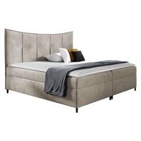 BOXBETT Bergamo - H3 - Sahara, Holz (160/200cm) - MIRJAN24
