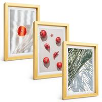 BILDER SET 3er Set - 20x30 cm Goldrahmen - Feiertagspalmenfrüchte - Goldfarben, Kunststoff (20/30cm) - TULUP