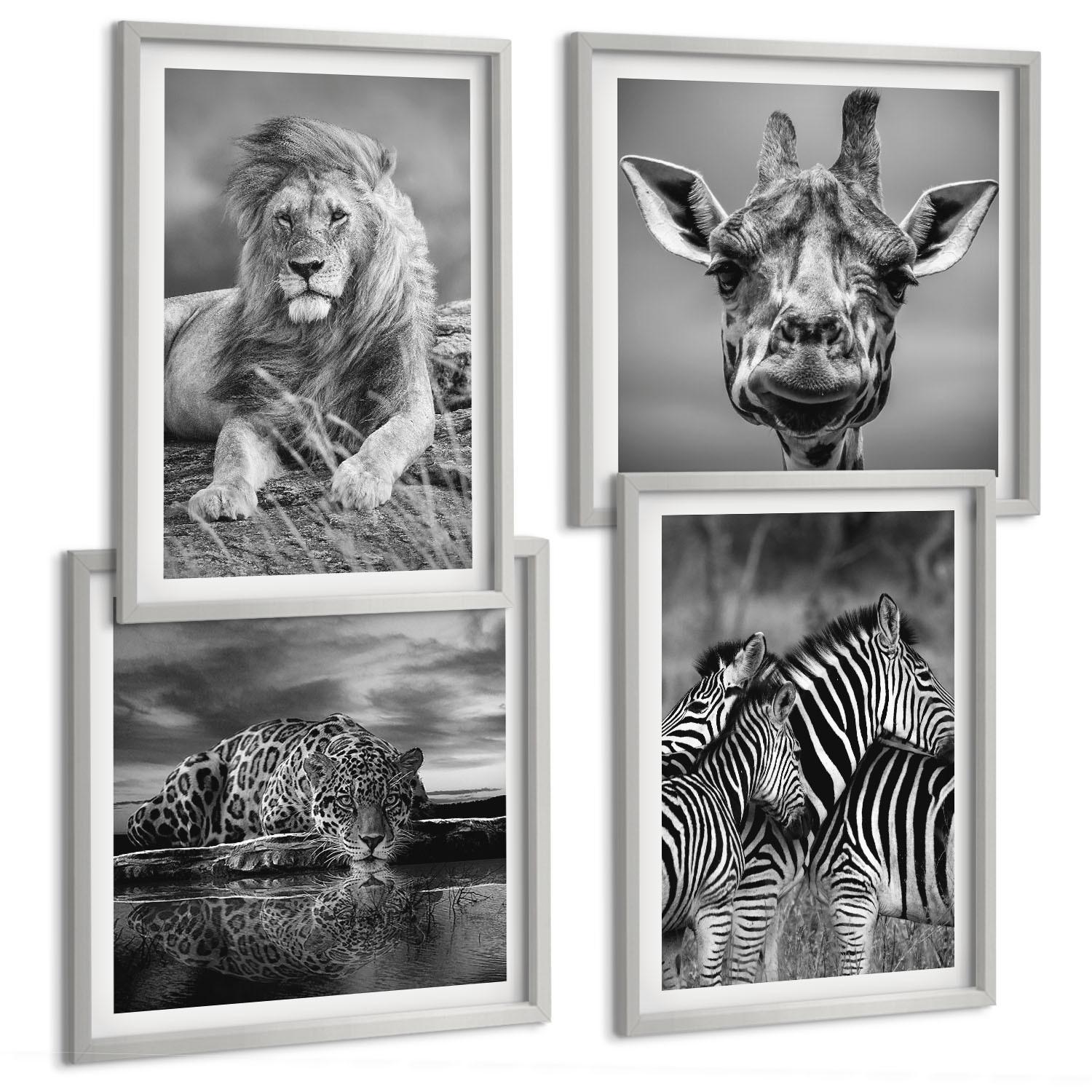 BILDER SET 4er Set - 50x50 cm & 40x60 cm Silberner Rahmen - Wildtiere Löwe Jaguar Giraffe Zebras - Silberfarben, Kunststoff (50/50cm) - TULUP