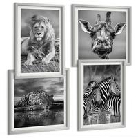 BILDER SET 4er Set - 50x50 cm & 40x60 cm Silberner Rahmen - Wildtiere Löwe Jaguar Giraffe Zebras - Silberfarben, Kunststoff (50/50cm) - TULUP