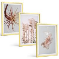 BILDER SET 3er Set - 40x60 cm Goldrahmen - Set aus Gras, Blumen und hellem Hintergrund - Goldfarben, Kunststoff (40/60cm) - TULUP