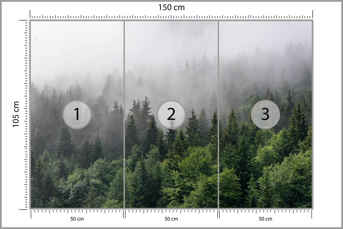 FOTOTAPETE für Wohnzimmer Nadelbäume Nebelwald Grün 150x105 - Grau/Grün, Papier (150/105cm) - Muralo