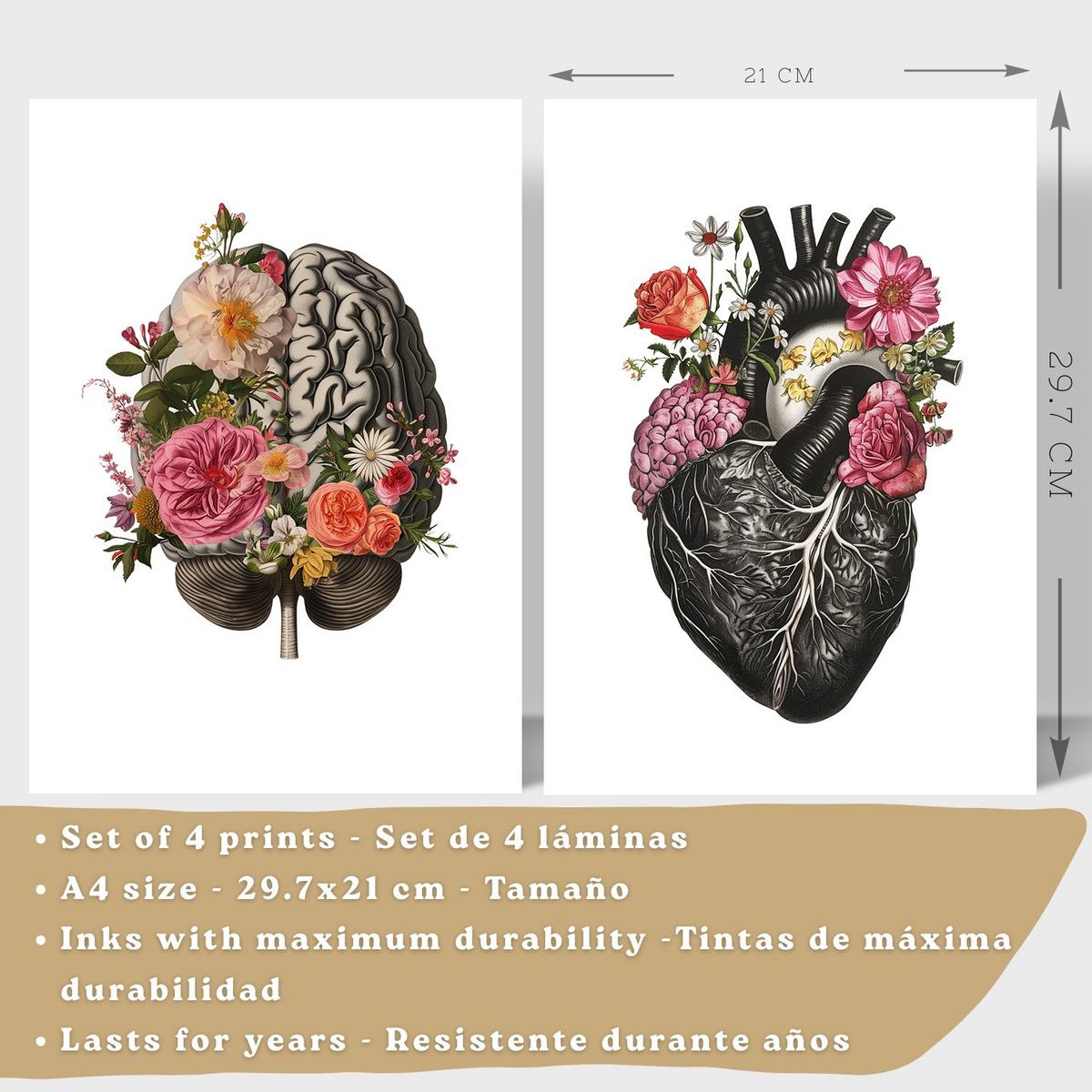 POSTER Set aus 4 Anatomie Drucke und Dekorative mit Gehirn Herz Lungen Atmungssystem Rippen Wirbelsäule Modernes Florales Größe Leichter Holzrahmen A4 - Beige, Papier (21/29.7/3cm) - Nacnic