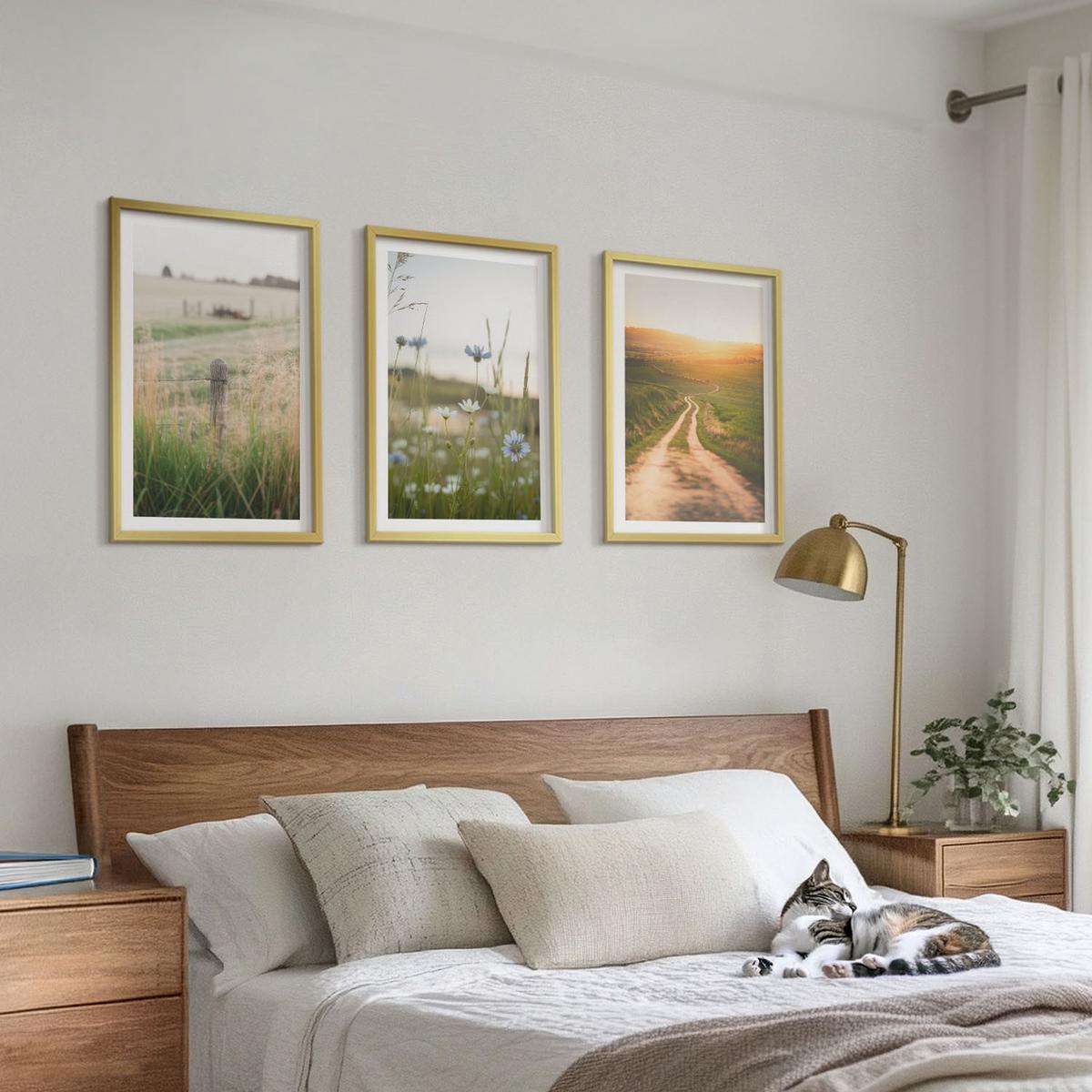 BILDER SET 3er Set - 40x60 cm Goldrahmen - Landschaften Natur Felder Weg - Goldfarben, Kunststoff (40/60cm) - TULUP