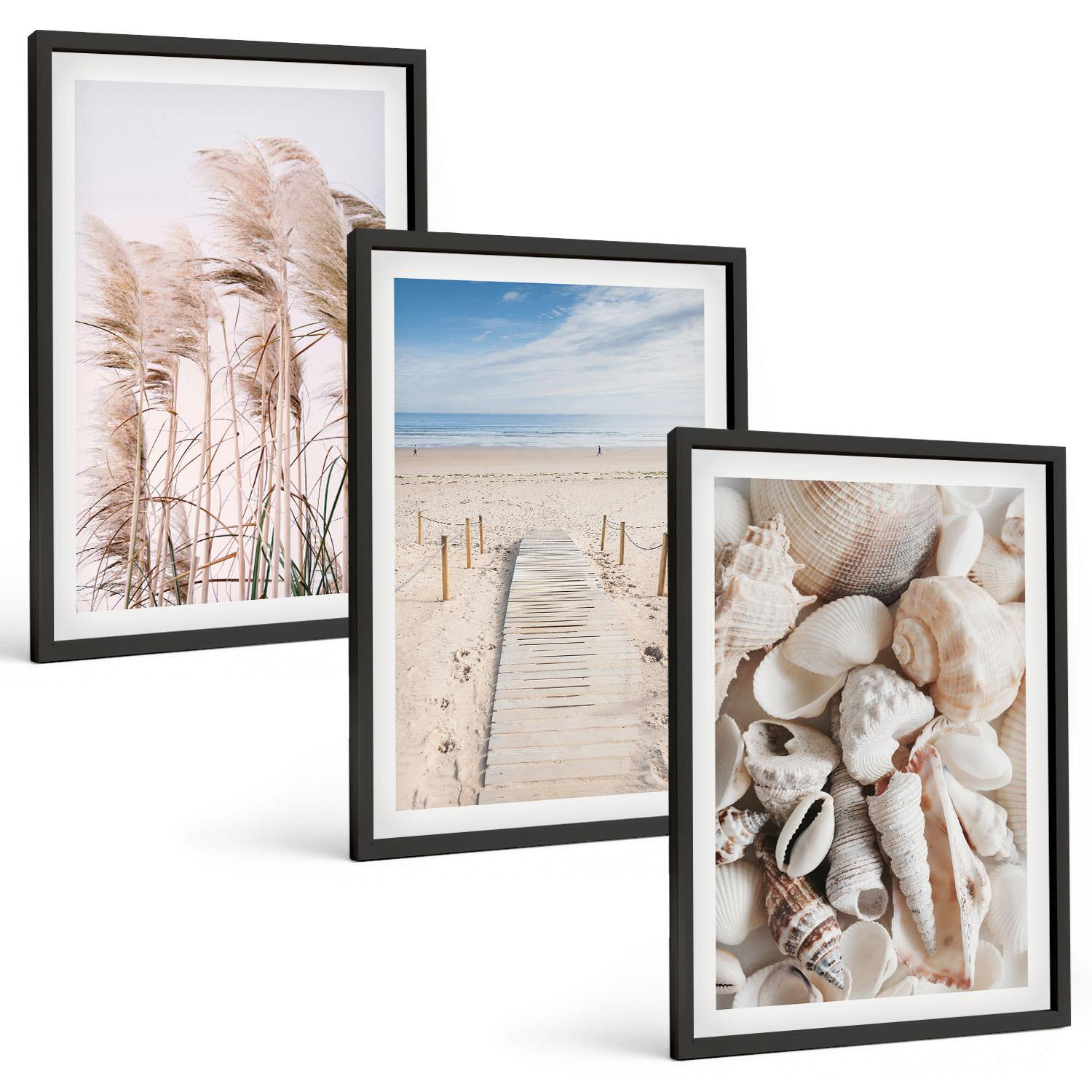 BILDER SET 3er Set - 40x60 cm Schwarzer Rahmen - Strandmuscheln Seegras - Schwarz, Kunststoff (40/60cm) - TULUP