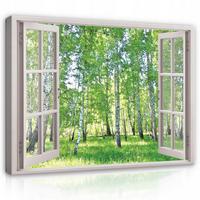 BILDER auf Leinwand Wald Natur Modern 80x60 - Multicolor, Holzwerkstoff (80/60cm) - Wallarena