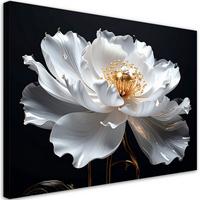 WANDBILD, Große weiße Blume auf schwarzem Hintergrund - Weiß, Textil (120/80cm) - Feeby