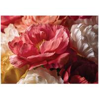 FOTOTAPETE Blumen Pfingstrosen Rot 250x175 cm - Multicolor, Papier (250/175cm) - Wallarena