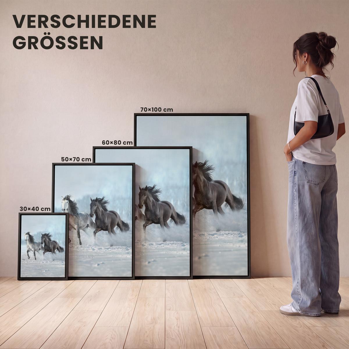 LEINWAND Bilder mit Rahmen - Pferde - Winter - Tiere - Natur - Schnee - 50x70 - Anthrazit, Textil (50/70cm) - MuchoWow