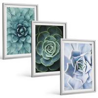 BILDER SET 3er Set - 40x60 cm Silberner Rahmen - Sukkulente Pflanzen grün türkis - Silberfarben, Kunststoff (40/60cm) - TULUP