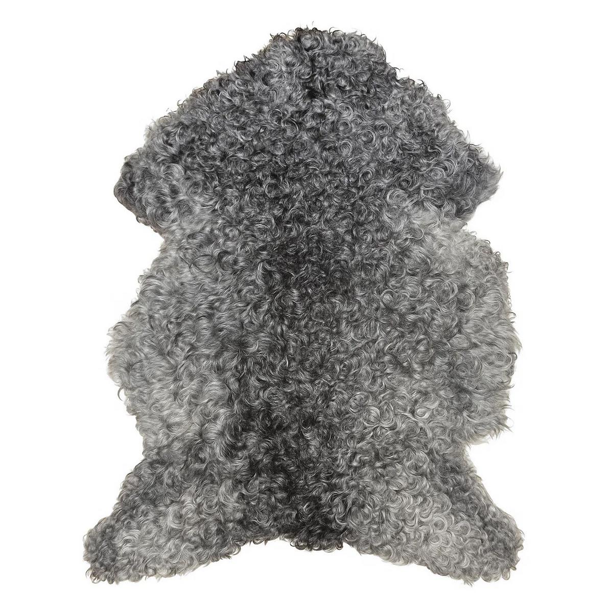 SCHAFFELL Gotland Naturgrau Lockig Unikat ca. 100 cm - Dunkelgrau, Fell (60/100cm) - Provellus