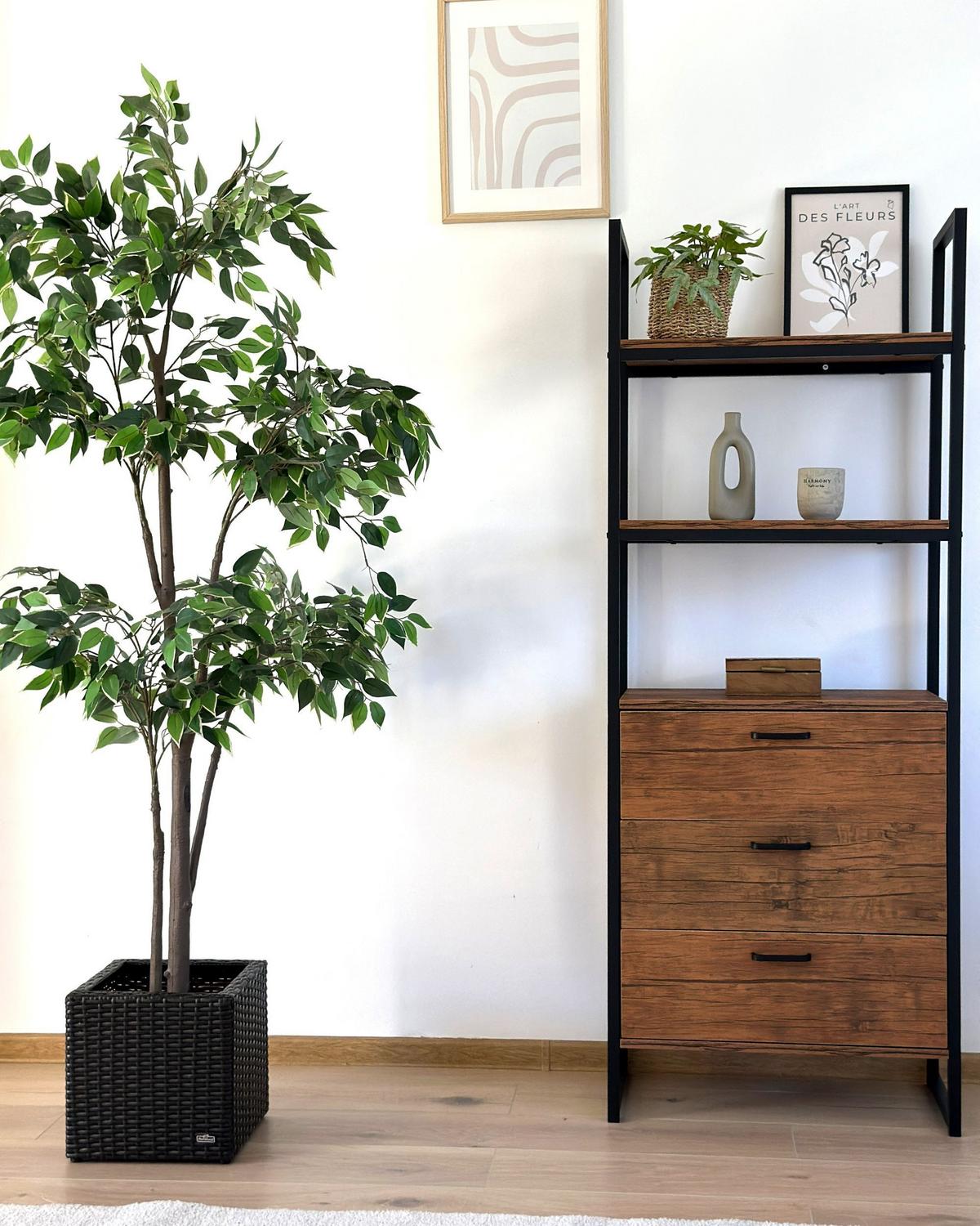 REGAL 3 Fächer Tifton - Dunkelbraun, Holzwerkstoff (61/158/32cm) - Beliani
