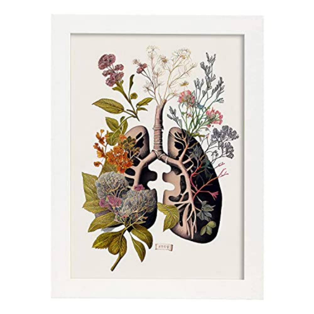 POSTER Anatomie Bronchien A3 Weißer Rahmen - Weiß, Papier (29.7/5/42cm) - Nacnic
