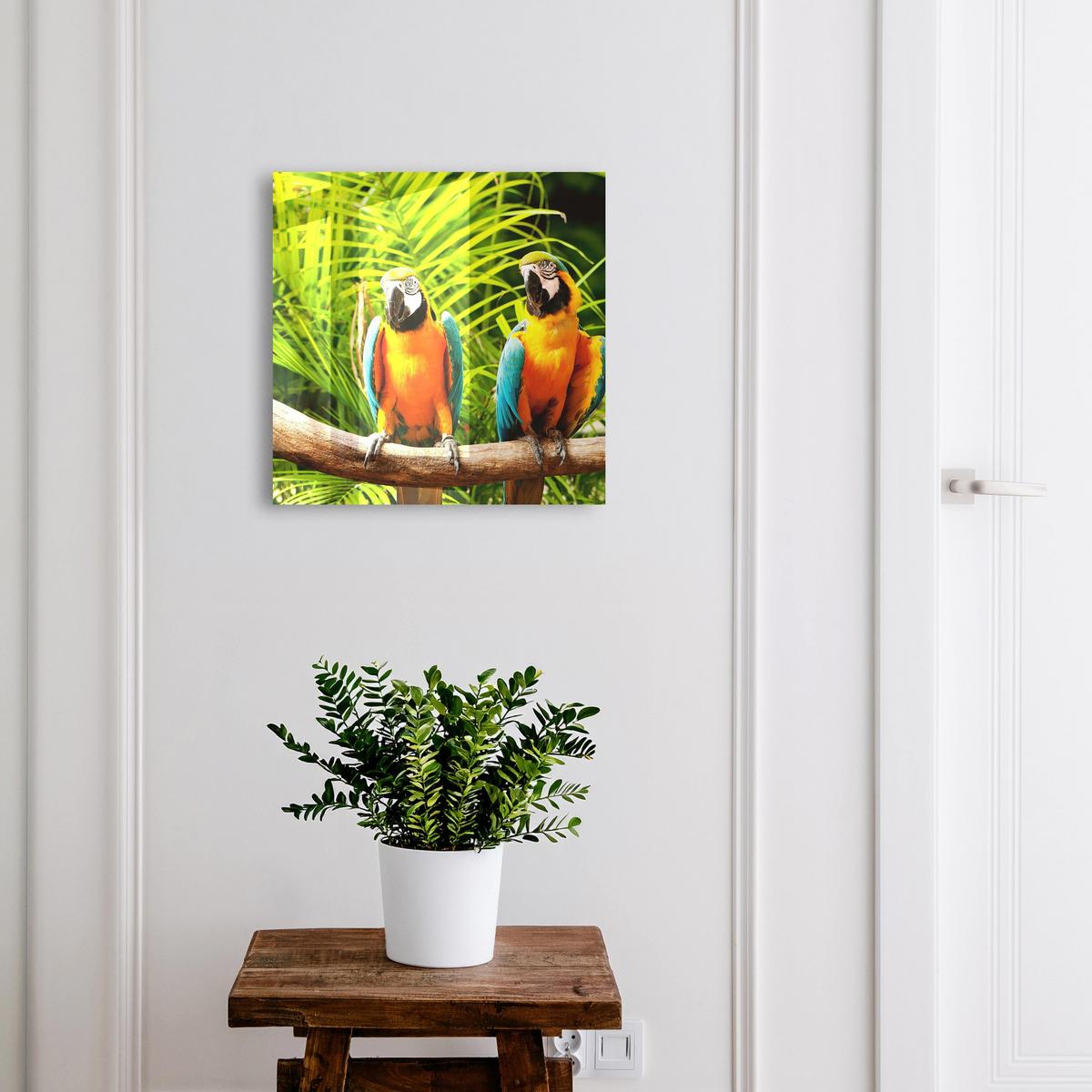 SCHLÜSSELBOX Schwarz 30x30 cm- Türöffnung nach rechts - Tropische Vögel - Grün, Metall (30/30/5cm) - TULUP