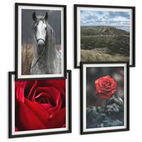 BILDER SET 4er Set - 50x50 cm & 40x60 cm Schwarzer Rahmen - Rote Rosen auf pferdegrauem Hintergrund - Schwarz, Kunststoff (50/50cm) - TULUP