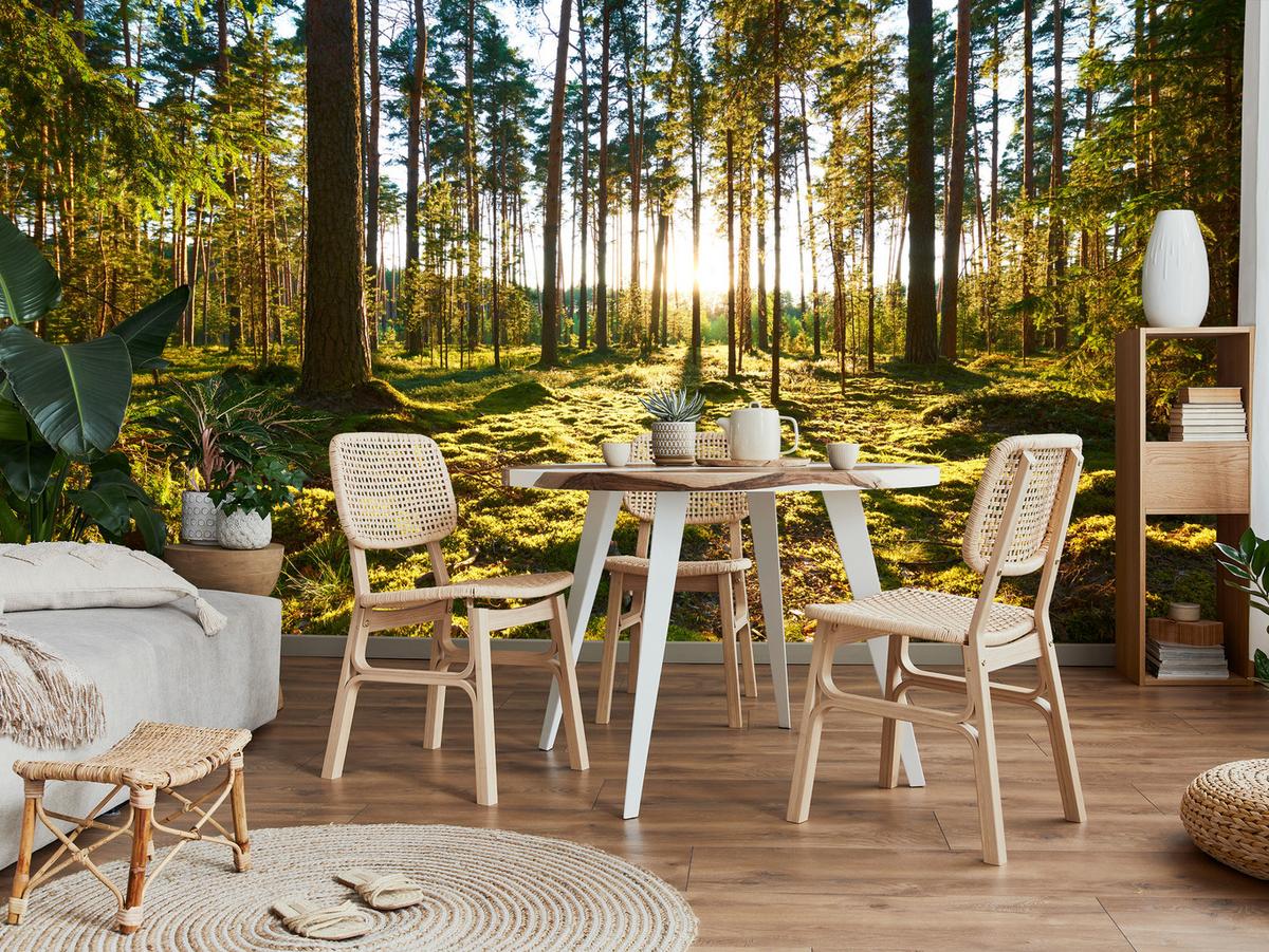 FOTOTAPETE für Küche Sonnenaufgang WALD Moss Bäume Sonnenstrahl 150x105 - Gelb/Braun, Papier (150/105cm) - Muralo