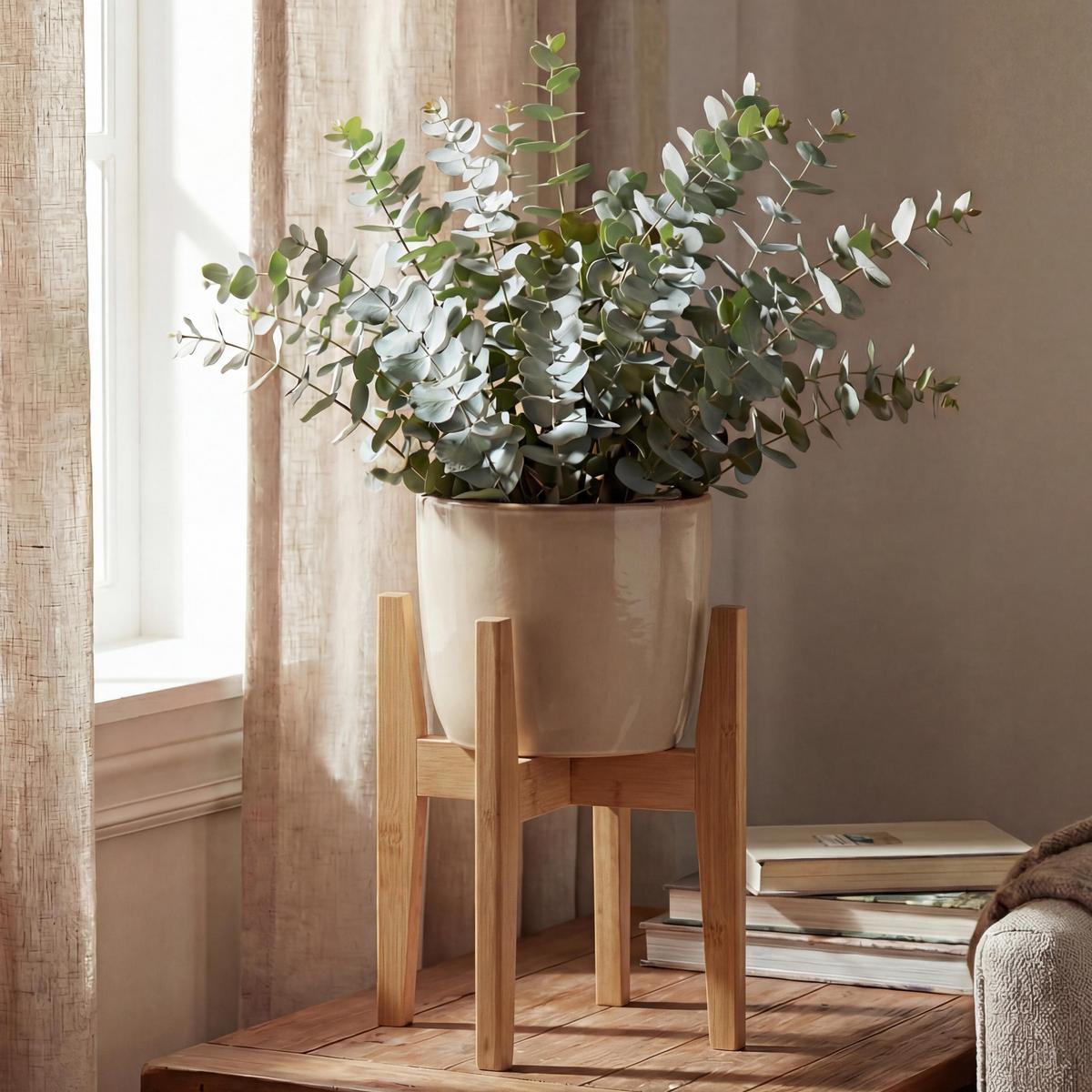 PFLANZENSTÄNDER Beige - Beige, Holz (37/37/30cm) - MCW