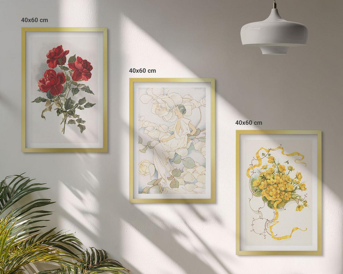 BILDER SET 3er Set - 40x60 cm Goldrahmen - Rosen rot-weiße Form - Goldfarben, Kunststoff (40/60cm) - TULUP
