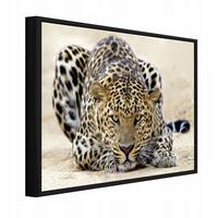 BILDER mit Rahmen Lampard Tiere Beige 120x80 cm - Multicolor, Holzwerkstoff (120/80cm) - Wallarena
