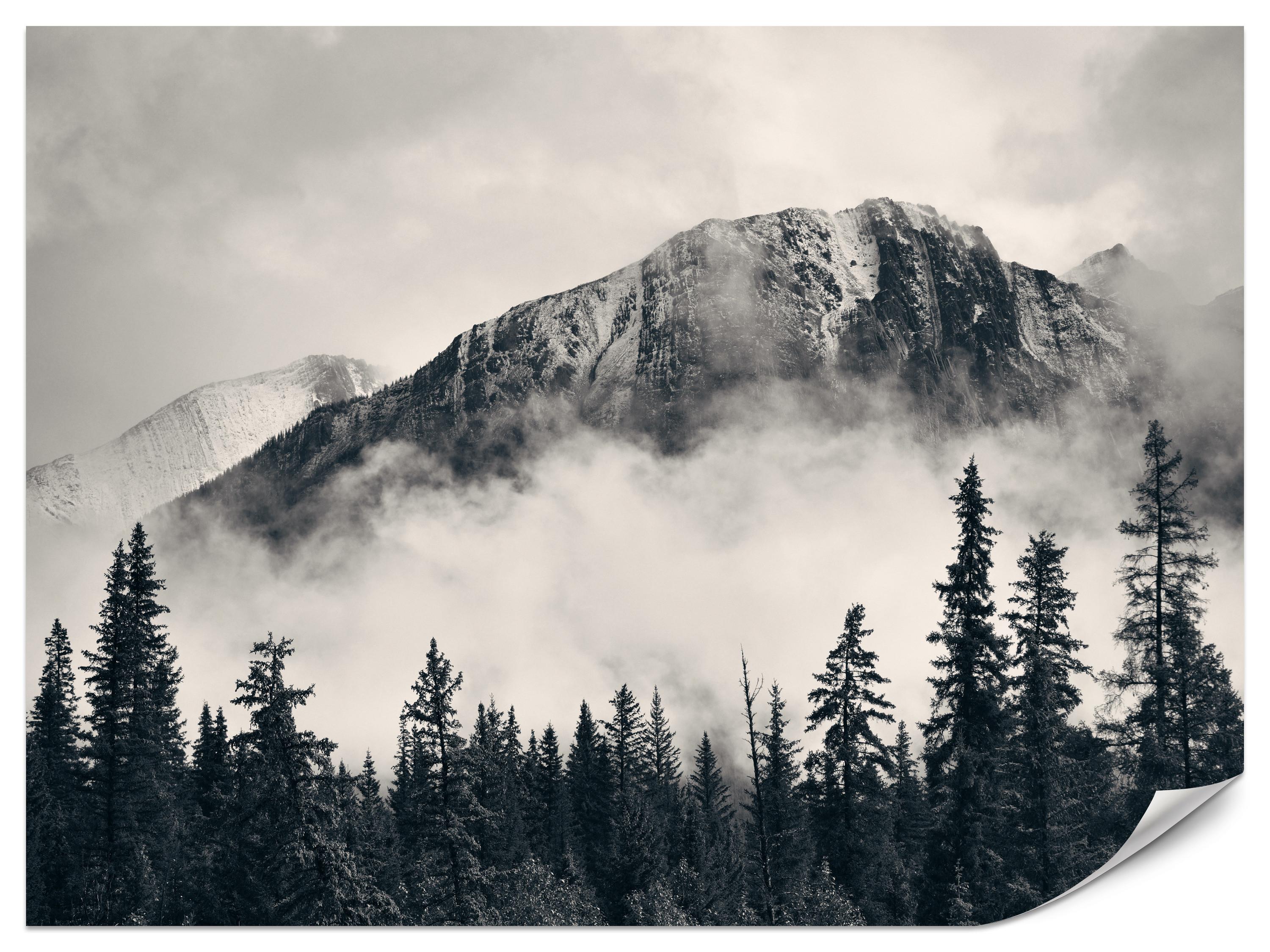 FOTOTAPETE für Wohnzimmer Nadelwald im Nebel im Hintergrund Berge 300x210 - Beige/Schwarz, Papier (300/210cm) - Muralo