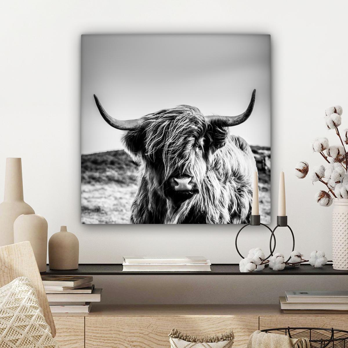 LEINWANDBILD Kuh - Schottischer Hochländer - Schwarz - Weiß - Tier - Natur - Wildtiere Wandbild Wohnzimmer 50x50 cm - Schwarz, Textil (50/50cm) - MuchoWow