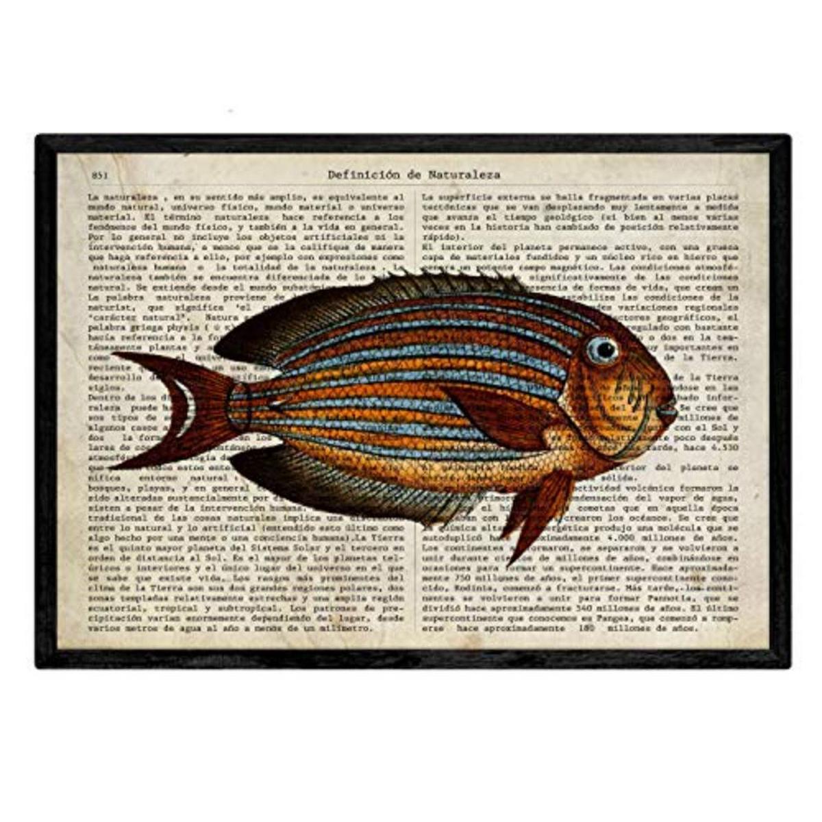 POSTER Set mit 4 Enzyklopädie mit Fische in verschiedenen Farben A4 Schwarzer Rahmen - Schwarz, Papier (29.7/3cm) - Nacnic