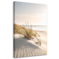 LEINWANDBILD Strand Meer Dünen Natur Pflanzen 70x100cm - Beige, Textil (70/100cm) - Feeby