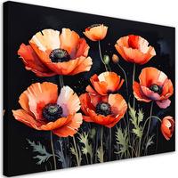 WANDBILD, Feldmohnblumen auf schwarzem Hintergrund - Rot, Textil (30/20cm) - Feeby