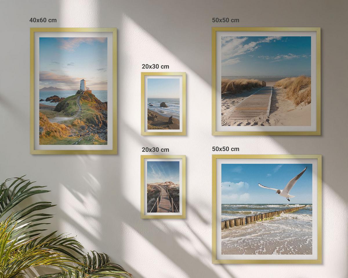 BILDER SET 5er Set - 50x50 cm & 20x30 cm & 40x60 cm Goldrahmen - Palmen am Meer, blaues Wasser - Goldfarben, Kunststoff (40/60cm) - TULUP
