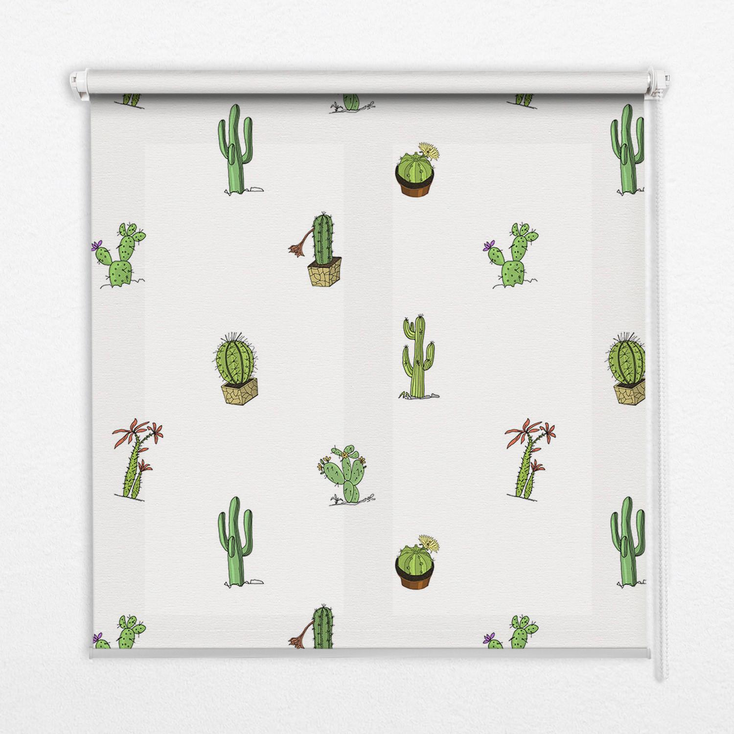 INNENROLLO - Fensterrollo - Rollo - 90x140 cm - Kakteen - Grün, Kunststoff (90/140/0.5cm) - TULUP