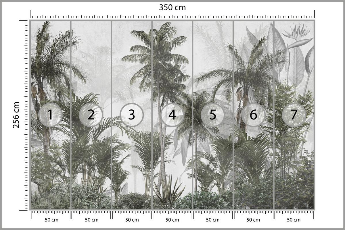 FOTOTAPETE für Wohnzimmer Natur Hohe Palmen Bäume Tropisch 350x256 - Grau/Grün, Papier (350/256cm) - Muralo