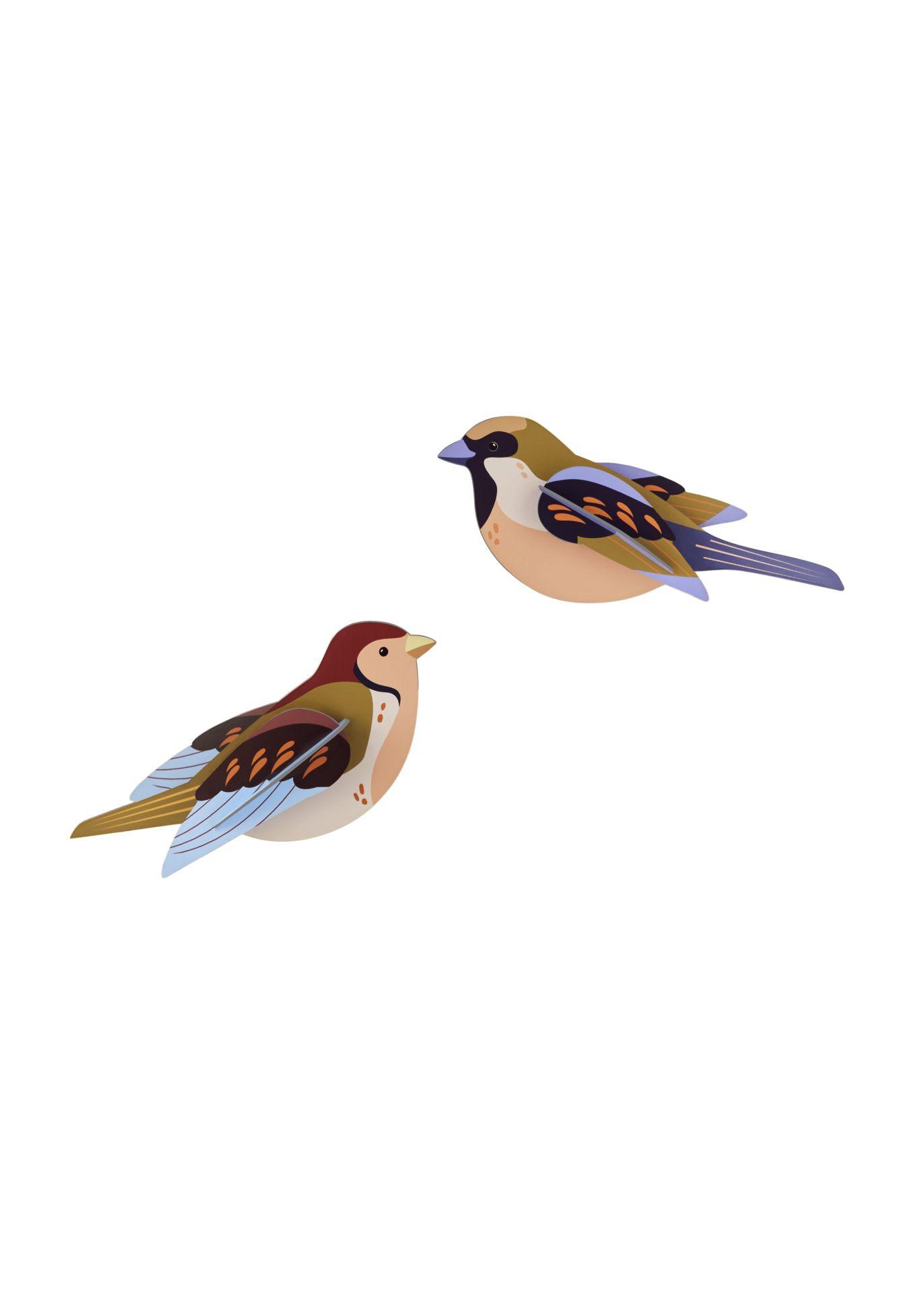 WANDDEKO Spatzen-Duo 4/6.5 cm - Multicolor, Wellpappe (4/6.5/16cm) - Studio Roof