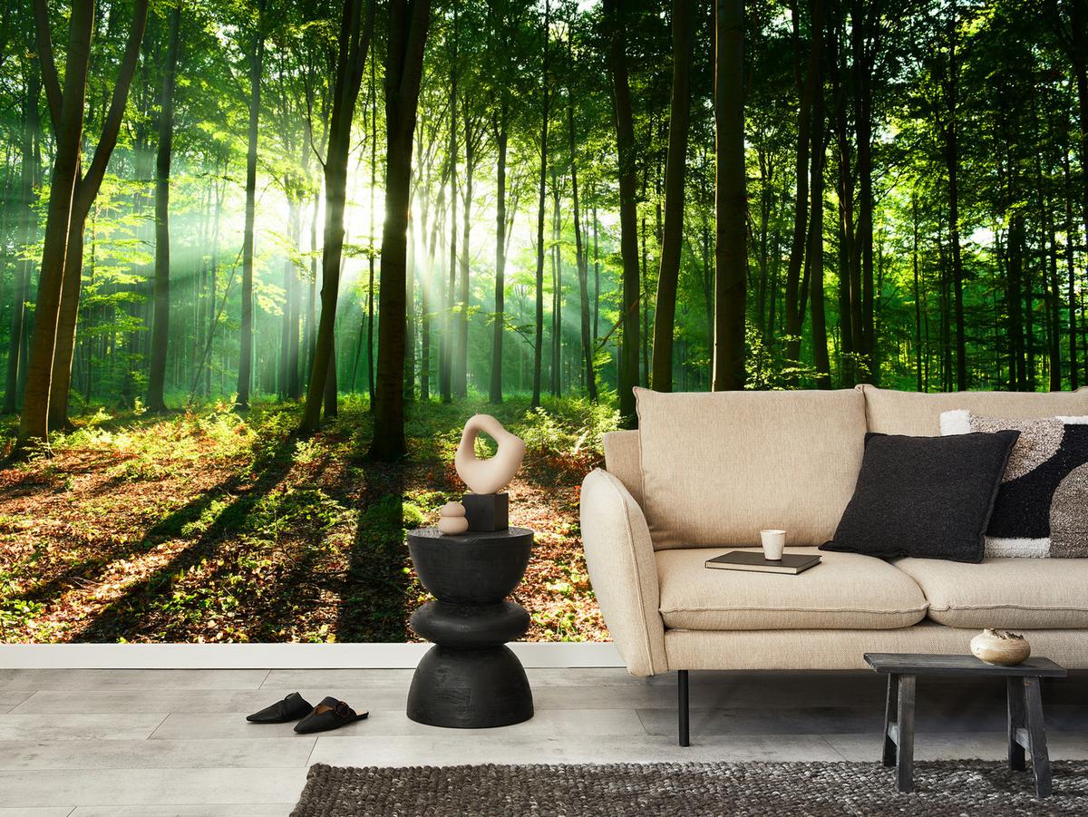 FOTOTAPETE für Wohnzimmer Sonnenstrahlen Wald Bäume Blätter 500x350 - Beige/Braun, Papier (500/350cm) - Muralo
