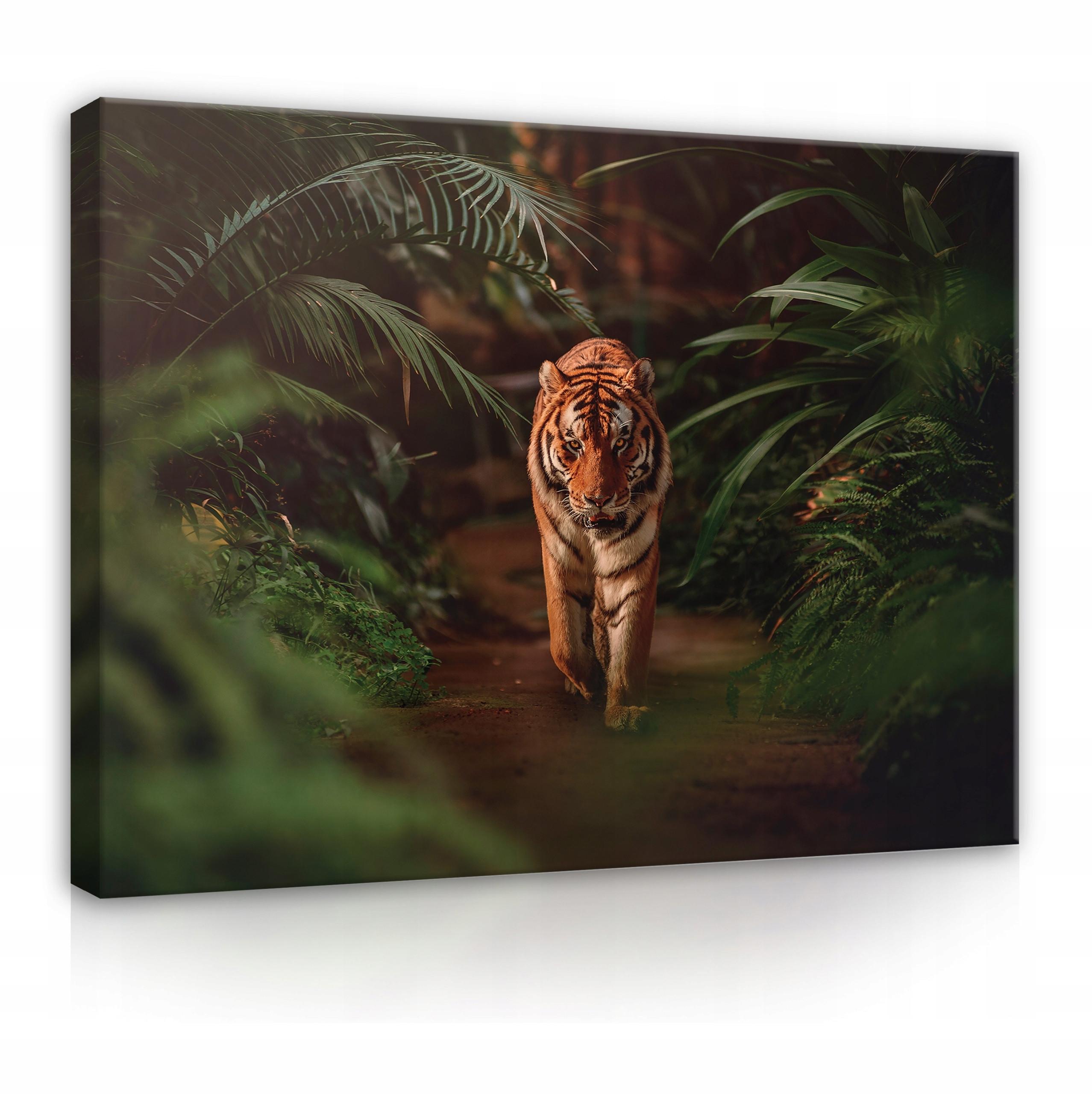 LEINWAND BILDER Tiger Tiere 120x80 - Multicolor, Holzwerkstoff (120/80cm) - Wallarena