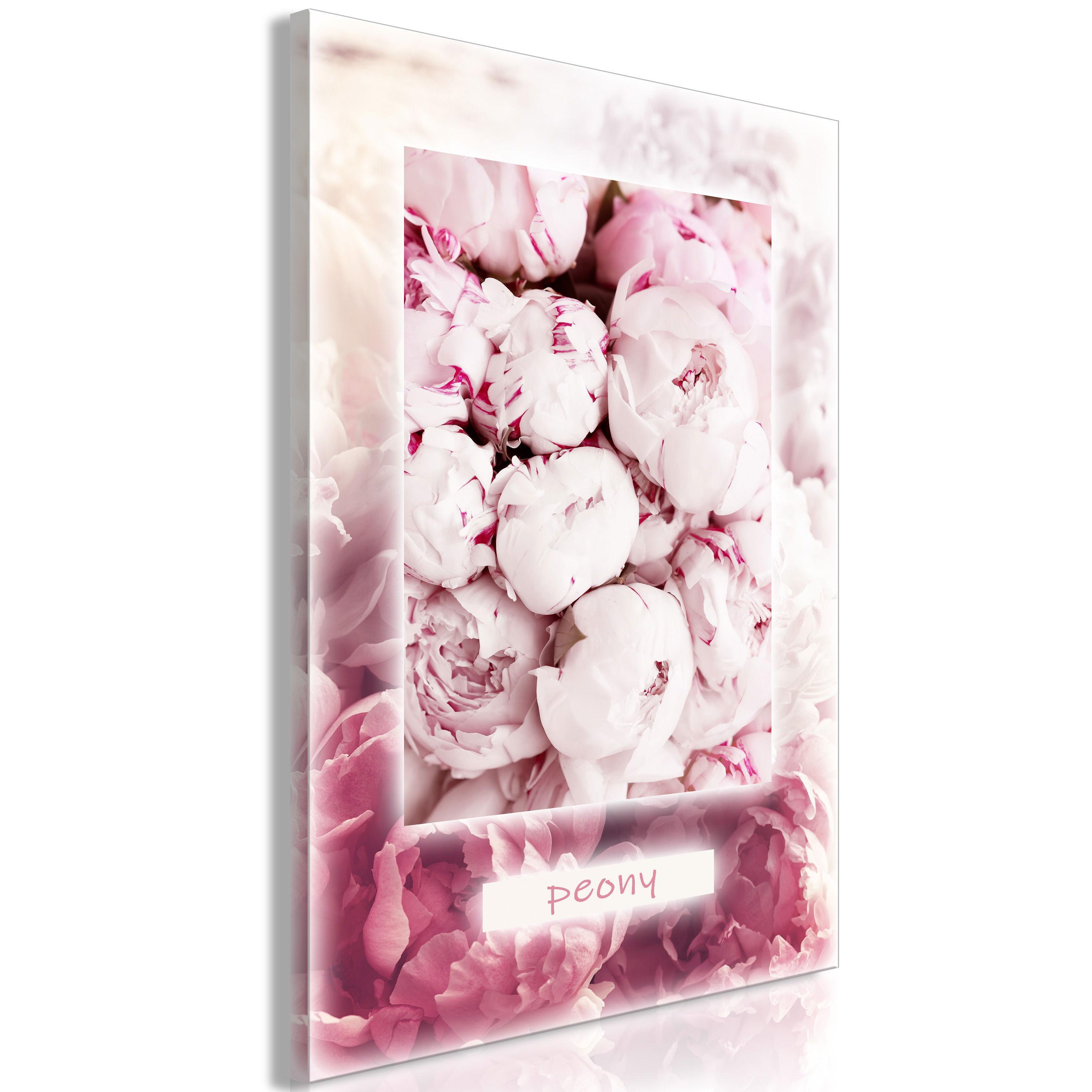 KUNSTDRUCK Rosa 40/60 cm - Pink/Weiß, Textil (40/60cm) - KUNSTLOFT