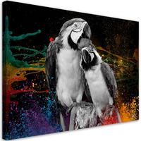 WANDBILD bunte papageien abstraktion - Multicolor, Textil (60/40cm) - Feeby