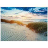 FOTOTAPETE Strand Meer 400x280 - Multicolor, Papier (400/280cm) - Wallarena
