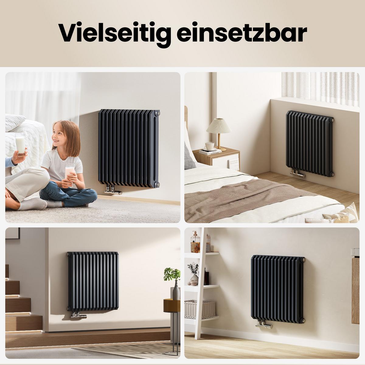 HEIZKÖRPER D-Profil Vertikal Mittelanschluss Anthrazit 60/60 cm - Anthrazit, Metall (60/60/10cm) - EMKE