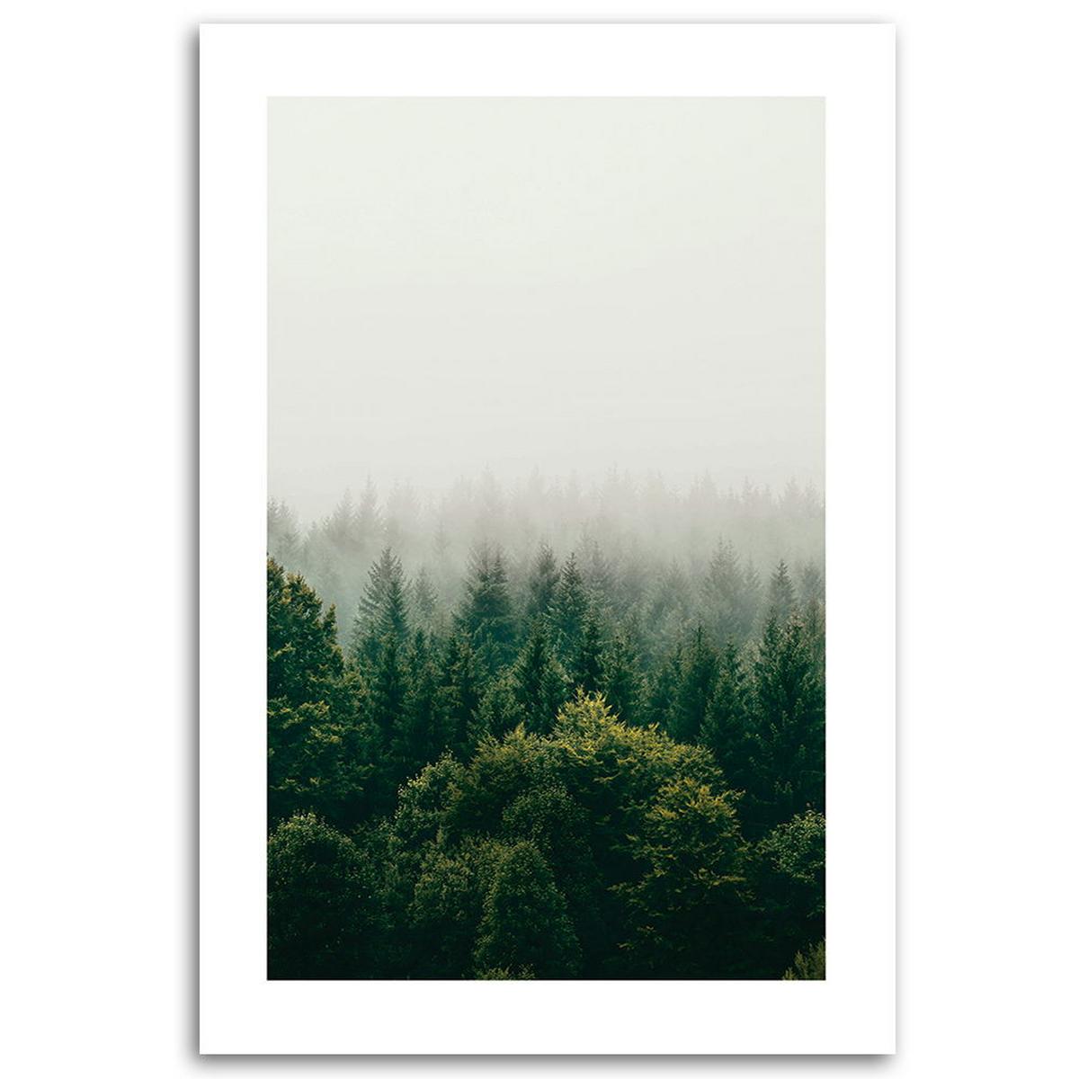 KUNSTDRUCK Grün 70/100 cm - Grün, Textil (70/100cm) - KUNSTLOFT