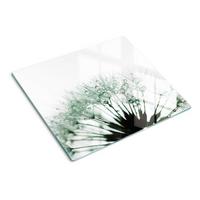 GLASPLATTE 60x52 cm Löwenzahn - Weiß, Glas (60/0.4/52cm) - TULUP