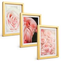 BILDER SET 3er Set - 20x30 cm Goldrahmen - Zartrosa Flamingos - Goldfarben, Kunststoff (20/30cm) - TULUP