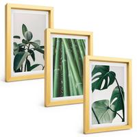 BILDER SET 3er Set - 20x30 cm Goldrahmen - Bambusstängel und Monstera-Blätter - Goldfarben, Kunststoff (20/30cm) - TULUP