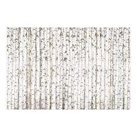FOTOTAPETE No.YK15 Birkenwand 288/190 cm - Weiß, Papier (288/190cm) - Bilderwelten
